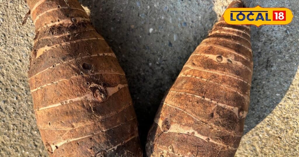 Kanda ki Gaderi, one vegetable, many identities