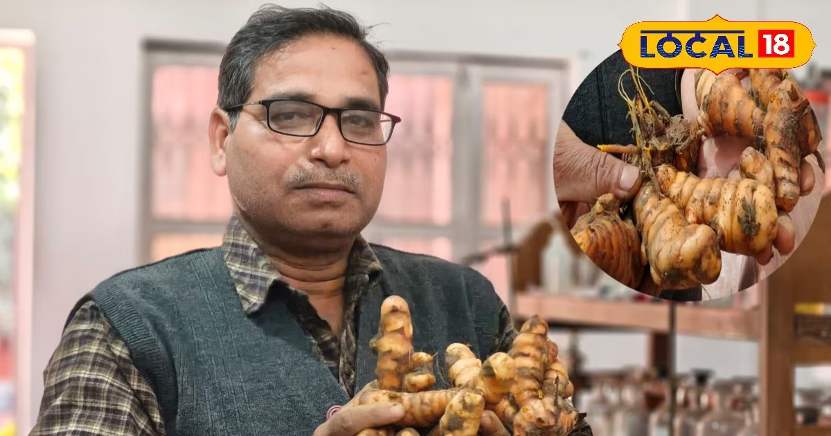 इम्युनिटी बूस्टर 