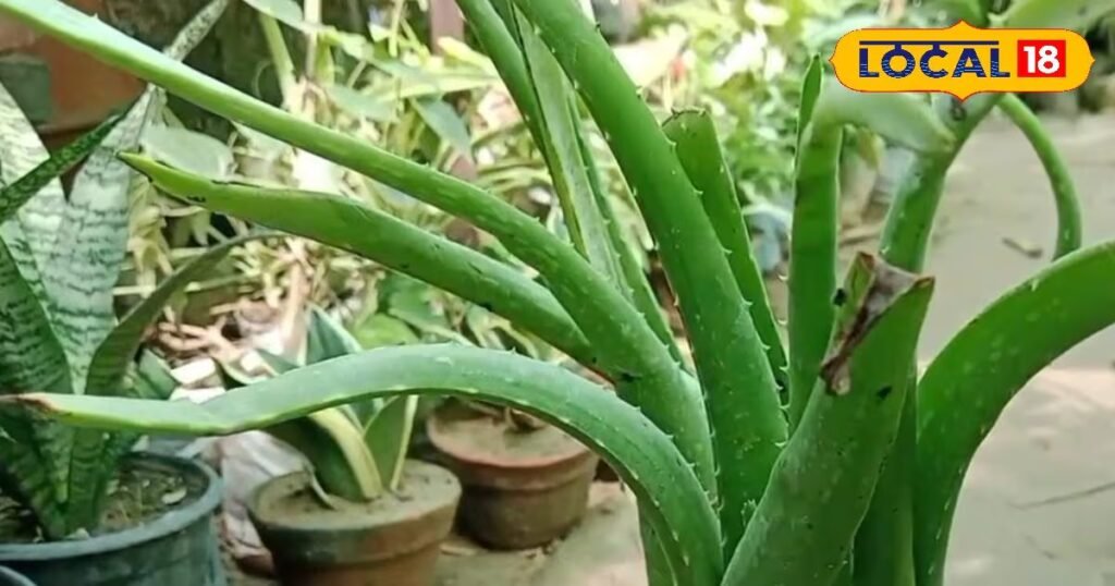 नेचुरल हाइड्रेशन