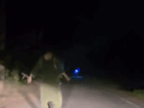 NRI Woman Chases Thieves With Sword in Ludhiana Dehlon Viral Video