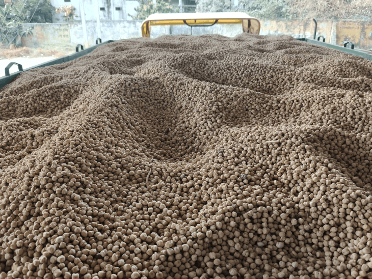 हरदा की मंडियों में डॉलर चना औंधे भाव:10 हजार की उम्मीद पर 4-6 हजार ही दाम मिले, किसान उपज वापस लेकर लौटे