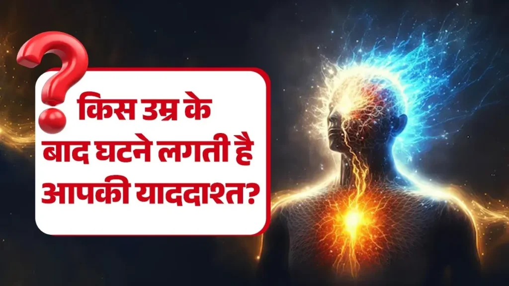 मानव मस्तिष्क तथ्य