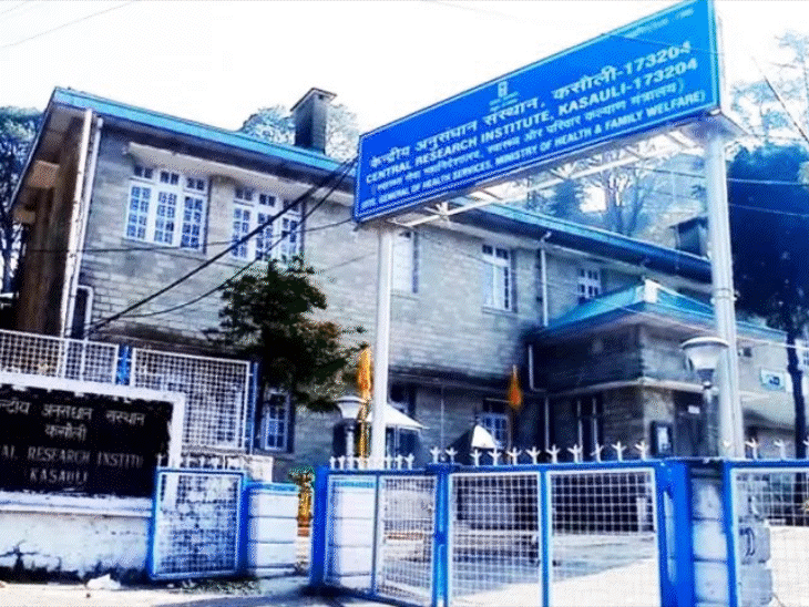 केंद्रीय मंत्री नड्डा आज नई वैक्सीन लॉन्च करेंगे:CRI कसौली आएंगे, टीटनेस-डिफ़्थीरिया से मिलेगी सुरक्षा, यूनिवर्सल इम्यूनाइजेशन प्रोग्राम में उपलब्ध होंगे टीके