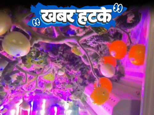 Khabar Hatke China Space Tomato & Kid Returns Home After 15 Years; AI Detects Disease From Cough