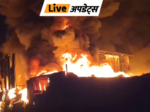 Breaking News Headlines Today, Pictures, Videos And More From Dainik Bhaskar