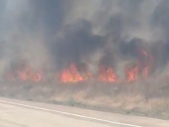 पन्ना की सकरिया हवाई पट्टी पर भीषण आग:आग बुझाते समय फायरमैन घायल; साथियों ने पहुंचाया अस्पताल