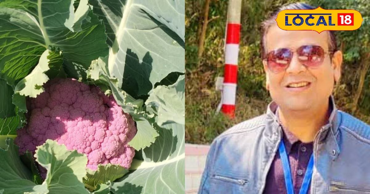 Antioxidant-rich vegetables 