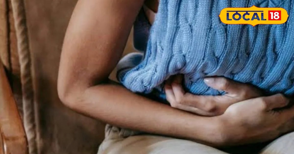 गर्मी में मुरझा रही तुलसी? ये आसान उपाय अपनाएं, पौधा रहेगा बिल्कुल हरा-भरा