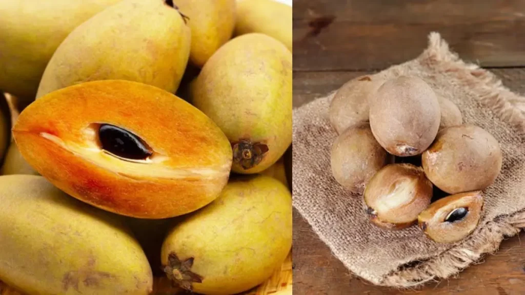 चीकू खाने के फायदे