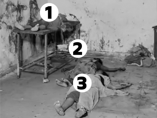 बिहार- नालंदा के शीतलाष्टमी मंदिर में भगदड़, 8 की मौत:6 से ज्यादा घायल; चैत्र के आखिरी मंगलवार को श्रद्धालुओं की भीड़ उमड़ी थी