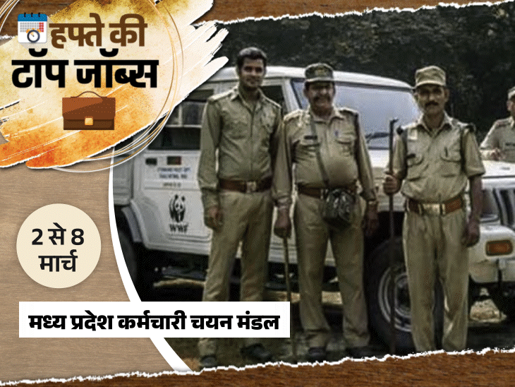 Punjab Anganwadi Recruitment & MP Vacancies