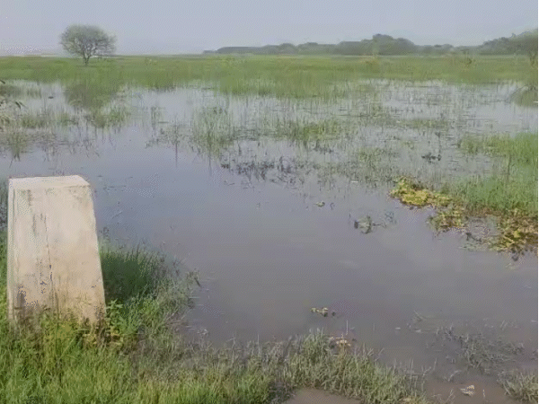 Bhopal Big Pond Encroachment Found During NGT Survey