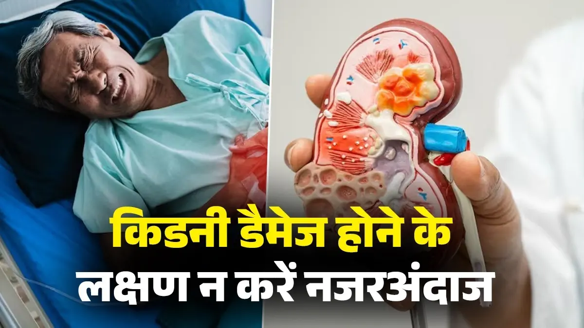 किडनी खराब होने के लक्षण, परहेज नहीं, जानिए स्वस्थ जीवन के लिए क्या खाने से बचना चाहिए आहार युक्तियाँ