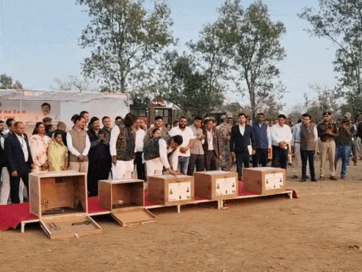 MP Vulture Death | 1096Km Flight; GPS Signal Reveals Cause