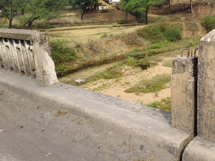 एमपी-छत्तीसगढ़ सीमा पर बना तिपान पुल जर्जर:44 साल पुराने पुल पर भारी वाहनों का दबाव, सरिए बाहर आए; मरम्मत का इंतजार