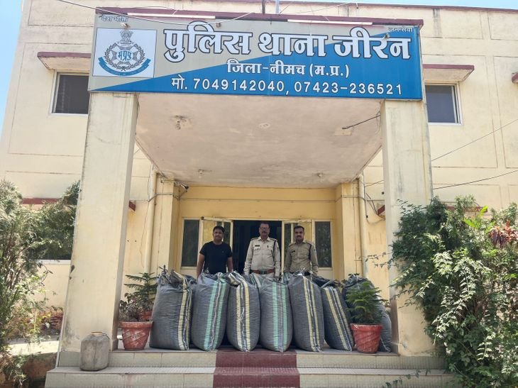जीरन पुलिस ने 2.61 क्विंटल डोडाचूरा पकड़ा:नाकाबंदी तोड़कर भागी स्कार्पियो से मिला, तस्कर मौके से भागा