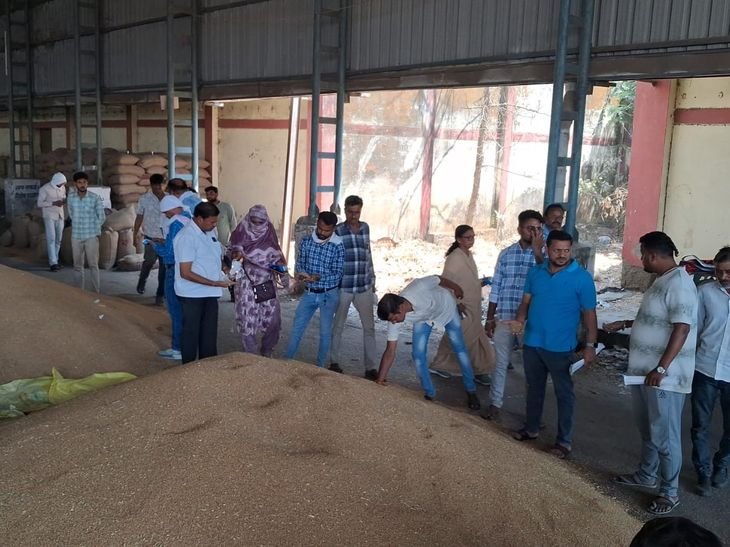 नरसिंहपुर मंडी शेडों में व्यापारियों का अनाज भरा:किसानों ने गैलरी में रखा गेहूं, बोली लगाने से इनकार पर हंगामा