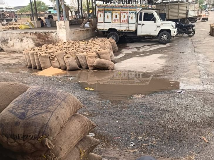 सागर में भीषण गर्मी के बीच हुई बारिश:गढ़ाकोटा मंडी में भीगा किसानों का गेहूं और चना, आज भी बादल छाने का अनुमान