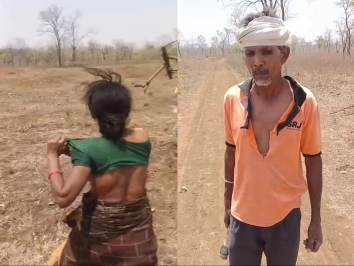 वन अमले पर हमला, दो महिला समेत 10 पर केस:खंडवा के जंगल में अतिक्रमण रोकने पहुंचे चौकीदार से की थी मारपीट