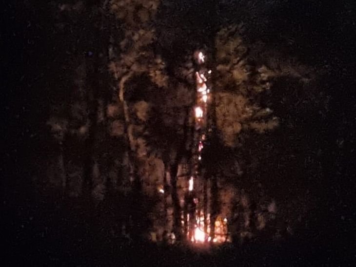 तवानगर के जंगल में आग, 1.5 किमी में फैली:वन्यप्राणी जान बचाकर भागते दिखे; शरारती तत्वों पर संदेह