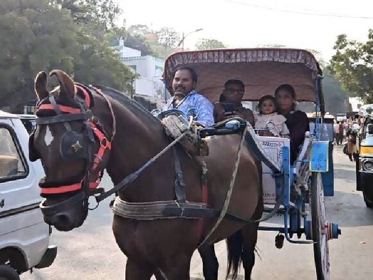श्रीनगर की सड़कों पर ​फिर दौड़ लगा रहा तांगा:बुजुर्गों को याद आए बीते दिन, जेन-जी ले रहे सेल्फी और बना रहे रील्स