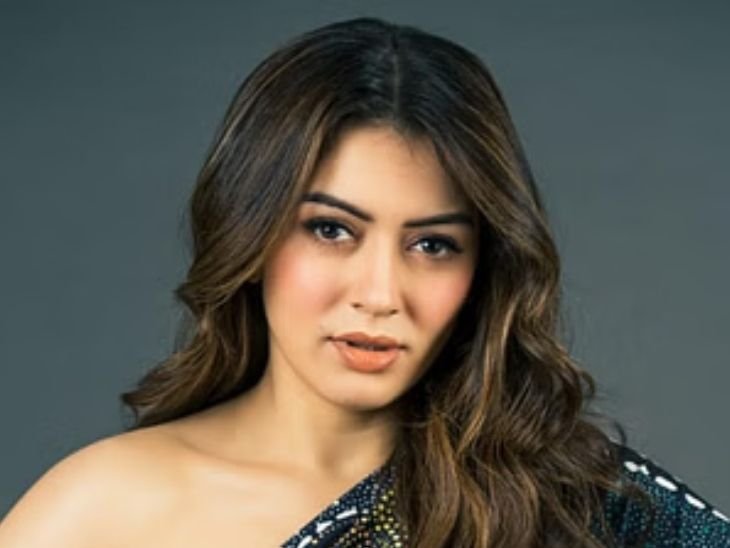 Hansika Motwanis Divorce Struggle | Family & Therapy Gave Strength