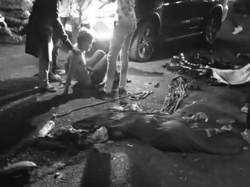 गुजरात में ट्रक ने श्रद्धालुओं को कुचला, 7 की मौत:राजकोट से सभी लोग पैदल बहुचराजी माता मंदिर जा रहे थे, 4 घायलों की हालत भी गंभीर