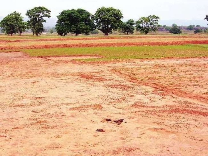 ग्वालियर में अवैध कॉलोनियों पर एक्शन, आठ कॉलोनाइजर पर FIR:शासन के नियमों की अनदेखी कर काटी कॉलोनी, कोई एनओसी नहीं ली