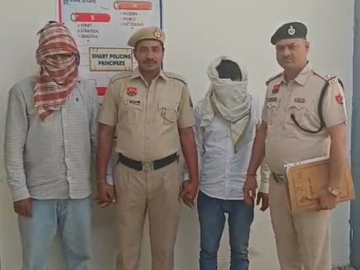 सोनीपत की महिला के खाते से उड़ाए 6.62 लाख रुपए:पुलिस ने एमपी से दबोचे साइबर ठग; खाते में होल्ड कराए ढ़ाई लाख रुपए
