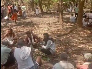 उमरिया में मधुमक्खियों ने किसान पर किया हमला, मौत:खेत में गेहूं काटने के लिए गए थे बुजुर्ग, बोझा बांधते समय हादसा