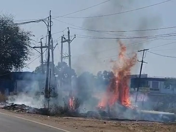 बैतूल में कचरे से भड़की आग पेड़ों तक पहुंची:कॉलेज चौक पर पेड़ जले, धनोरा में डीपी क्षतिग्रस्त; फायर ब्रिगेड ने पाया काबू