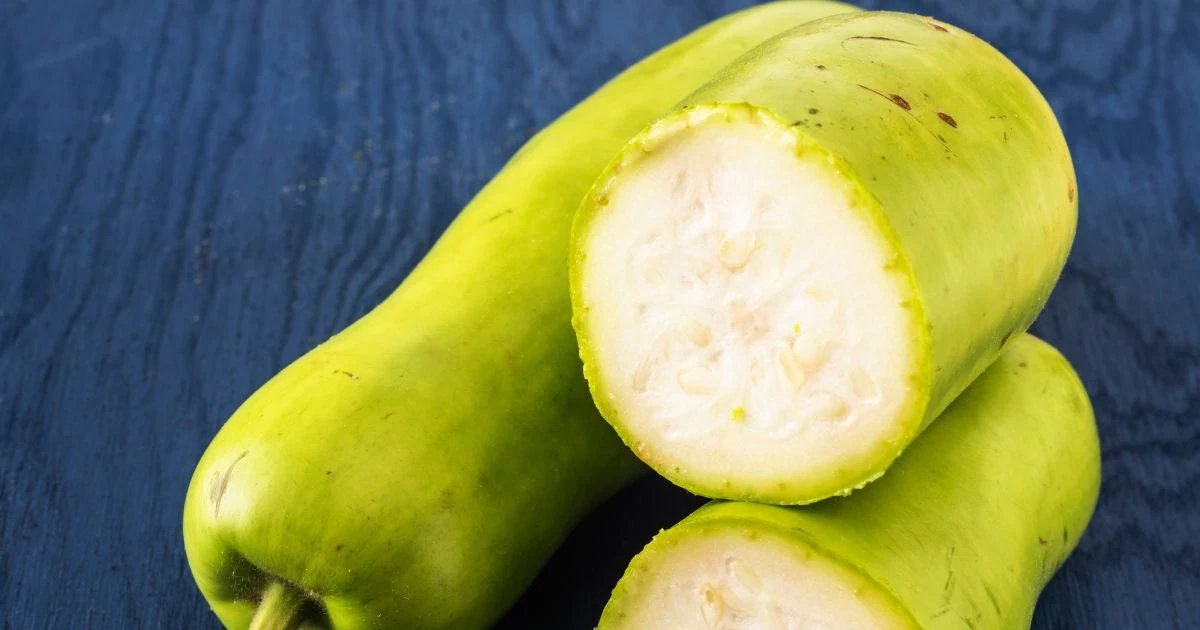 जिस लौकी को समझते हैं बेकार, वही निकली सेहत की सुपरफूड! ये 8 फायदे जान रह जाएंगे दंग