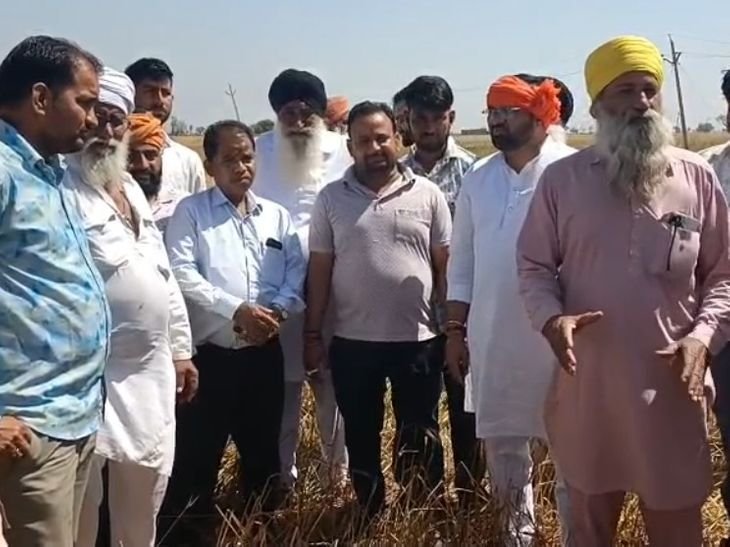 श्योपुर में ओलावृष्टि से बर्बाद हुई फसलें:भाजपा जिलाध्यक्ष ने किया दौरा, किसानों ने की मुआवजे के लिए सर्वे की मांग