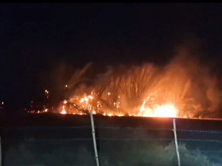 शाजापुर में गौरी गार्डन के पीछे झाड़ियों में आग:पुलिस-फायर ब्रिगेड ने डेढ़ घंटे में बुझाई