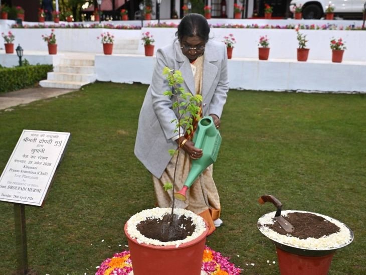 राष्ट्रपति द्रौपदी मुर्मू ने रिट्रीट में खुमानी का पौधा लगाया:व्यवस्थाओं का लिया फीडबैक, कल कृषि विश्वविद्यालय पालमपुर जाएंगी राष्ट्रपति, दीक्षांत समारोह में शिरकत करेंगी