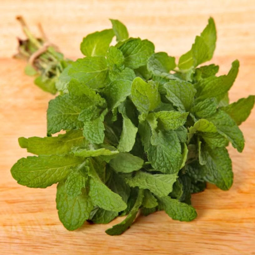 <!-- HTML_TAG_START --><p><strong>जरूरी सामग्री</strong>: 1 कप दही, 8-10 पुदीने की पत्तियां, 2-3 लहसुन की कलियां, 1 हरी मिर्च, ½ छोटा चम्मच भुना जीरा पाउडर, स्वादानुसार नमक, एक चुटकी काला नमक, हरा धनिया</p><!-- HTML_TAG_END --> <span class="graytxt">Image: Freepik</span>