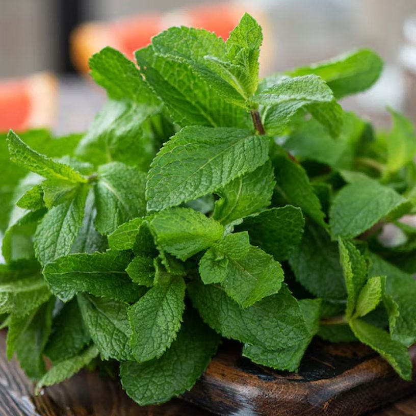 तस्वीर का विवरण