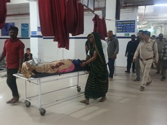 पन्ना में बाघ ने महिला पर हमला किया:2 किमी कंधे पर लादकर घायल को गांव पहुंचाया, अस्पताल में भर्ती