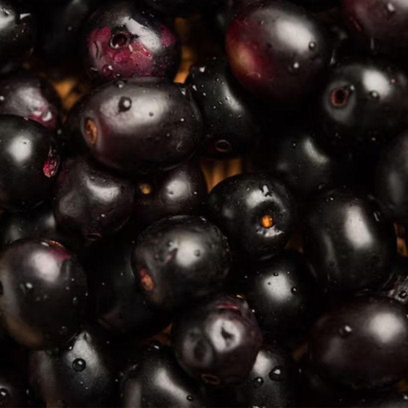 <!-- HTML_TAG_START --><p><strong>सामग्री</strong>: 1 कप जामुन (बीज निकालकर), 1-2 हरी मिर्च, पुदीना, धनिया पत्ते, स्वादनुसार काला नमक, 1 छोटा चम्मच भुना जीरा पाउडर, 1 नींबू का रस, 1 छोटा चम्मच चीनी या गुड़<br>&nbsp;</p><!-- HTML_TAG_END --> <span class="graytxt">Image: Freepik</span>