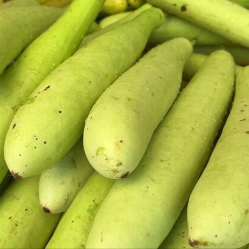 <!-- HTML_TAG_START --><p><strong>आवश्यक सामग्री</strong>: 1 कद्दूकस लौकी, 2-3 हरी मिर्च, 3-4 लहसुन की कलियां, 1 टुकड़ा अदरक, 2 चम्मच दही, 1 छोटा चम्मच भुना जीरा पाउडर, नमक स्वादानुसार, 1 छोटा चम्मच तेल, 1/2 छोटा चम्मच राई, कुछ करी पत्ते&nbsp;<br>&nbsp;</p><!-- HTML_TAG_END --> <span class="graytxt">Image: Freepik</span>