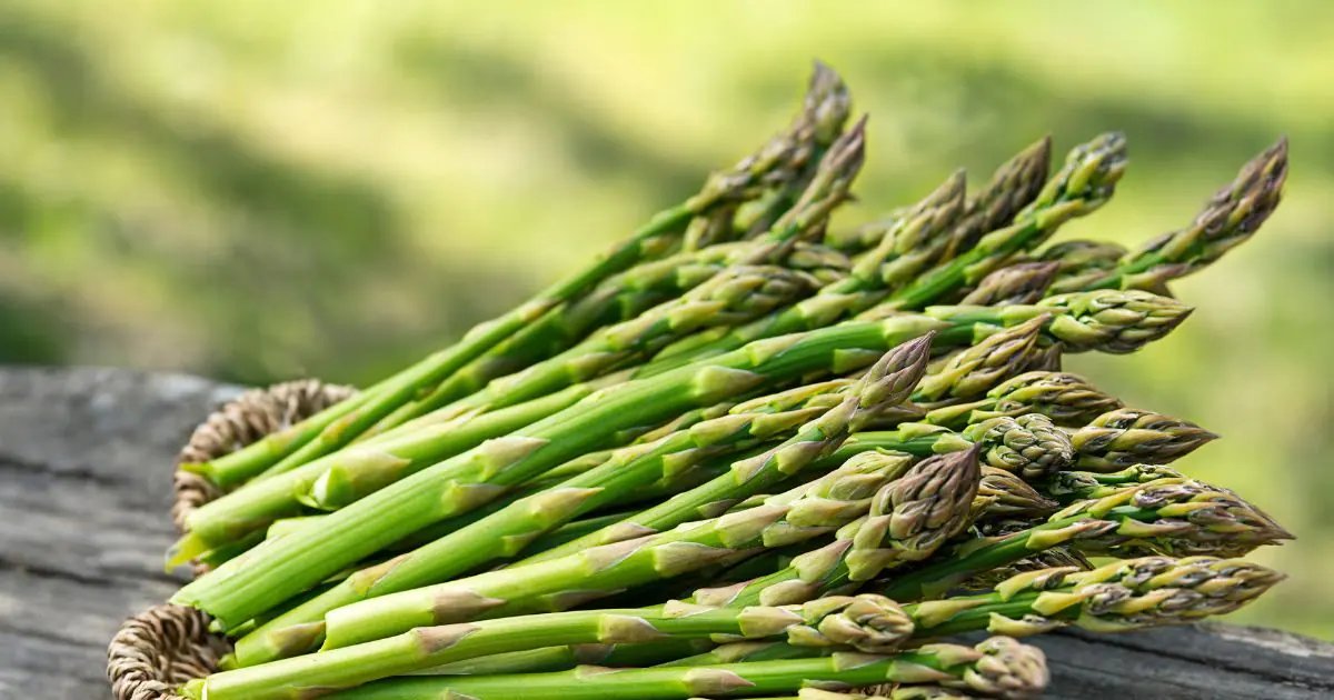 अपने डाइट में जरूर शामिल करें ये 10 हाई प्रोटीन वाली सब्जियां, फैट भी ना के बराबर