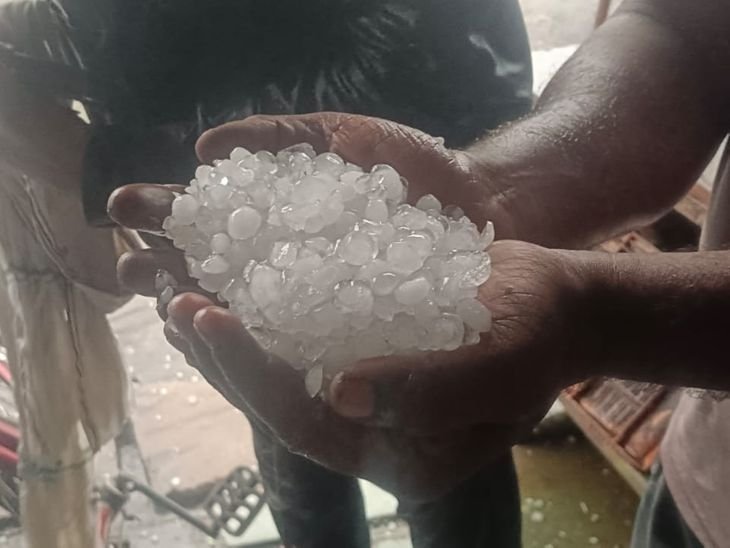 टीकमगढ़ में तेज आंधी-बारिश के साथ गिरे ओले:एसपी दफ्तर-कलेक्ट्रेट में पेड़ गिरे; विवाह घर की दीवार क्षतिग्रस्त