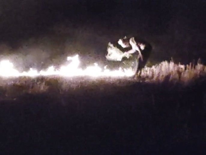 गंजबासौदा में नरवाई में लगी आग:दूसरे खेतों तक फैली, किसान भूसा बनाने की तैयारी कर रहे थे