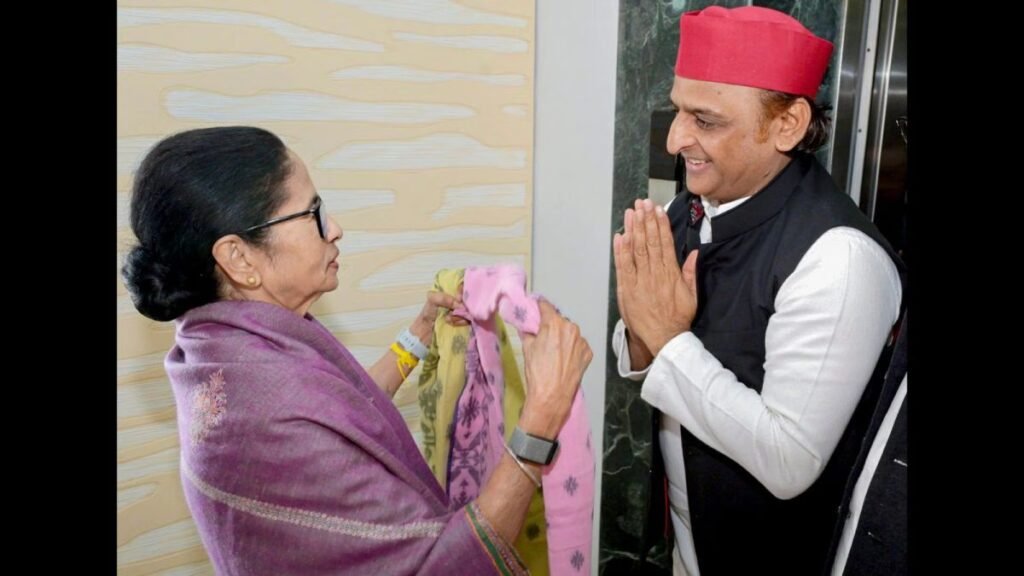 Gujarat Local Body Election Results 2026 Live Updates