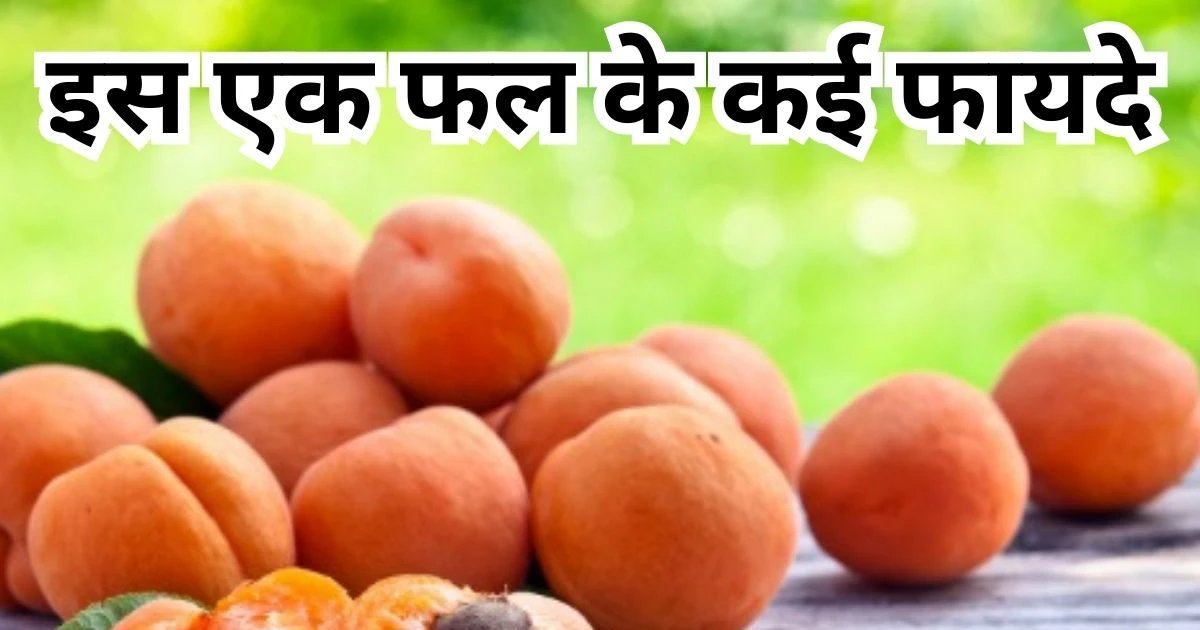 खुबानी बेहद पौष्टिक फल है. खुबानी विटामिन सी का भंडार है. खुबानी में गहरे पीले रंग का होता है. खुबानी में प्रचूर मात्रा में फाइबर प्रोटीन, सोडियम, आयरन, कैल्शियम,कई तरह के विटामिन औ अन्य माइक्रो न्यूट्रेंट्स होते हैं. ये सब मिलकर सेहत के लिए खुबानी को अमृत तुल्य बनाते हैं. अगर आप सप्ताह में एक या दो दिन भी खुबानी का सेवन करेंगे तो इससे गजब के फायदे दिखेंगे.