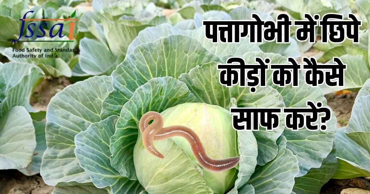 Cabbage Cleaning tips: पत्तागोभी में मिला सांप का बच्चा, FSSAI की चेतावनी- बंदगोभी खा रहे तो न करें ये गलती