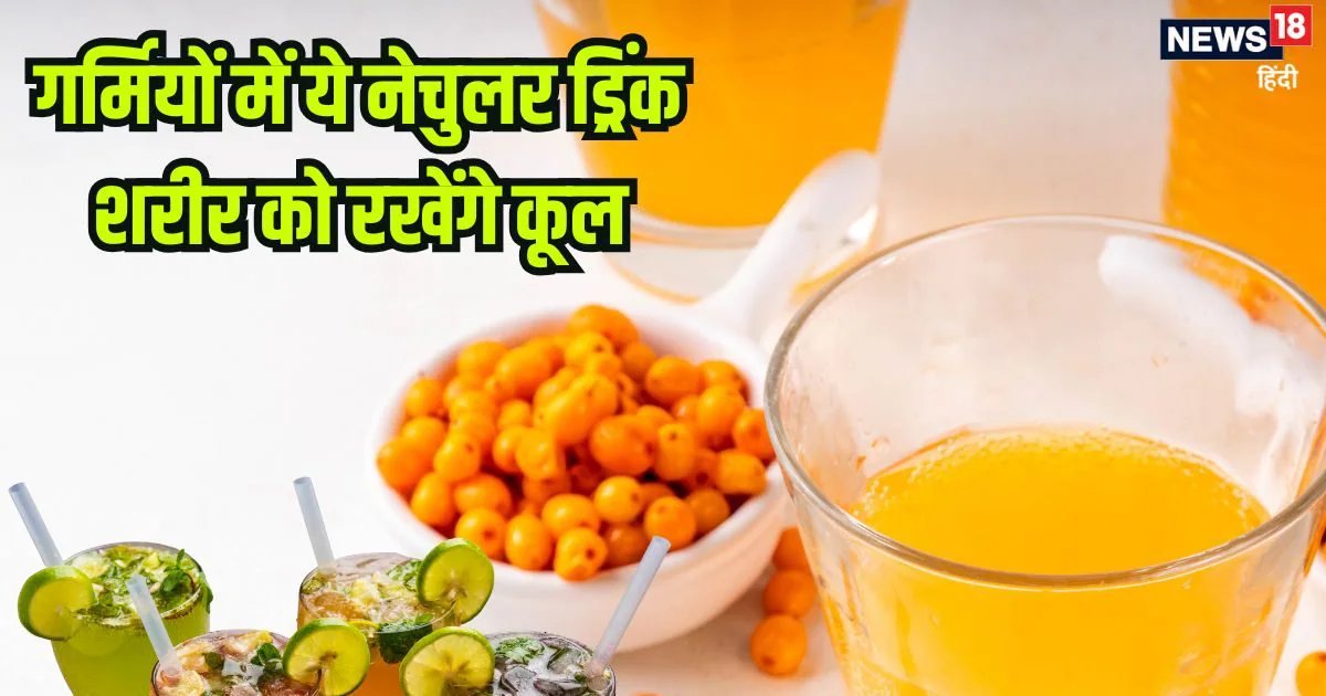 शरीर की गर्मी और पित्त को शांत रखते हैं ये 5 नेचुरल ड्रिंक, अमृत समान इन पेय पदार्थों को पीने से होंगे अद्भुत लाभ