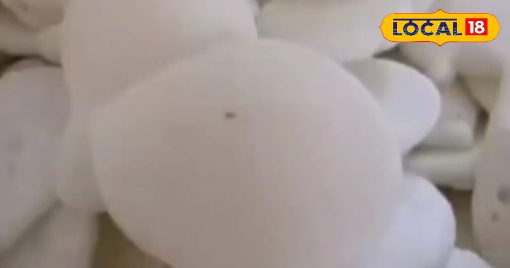 खुले आसमान के नीचे बेहतरीन स्वाद का मजा...इन होटलों में हर बाइट लगे Bliss!