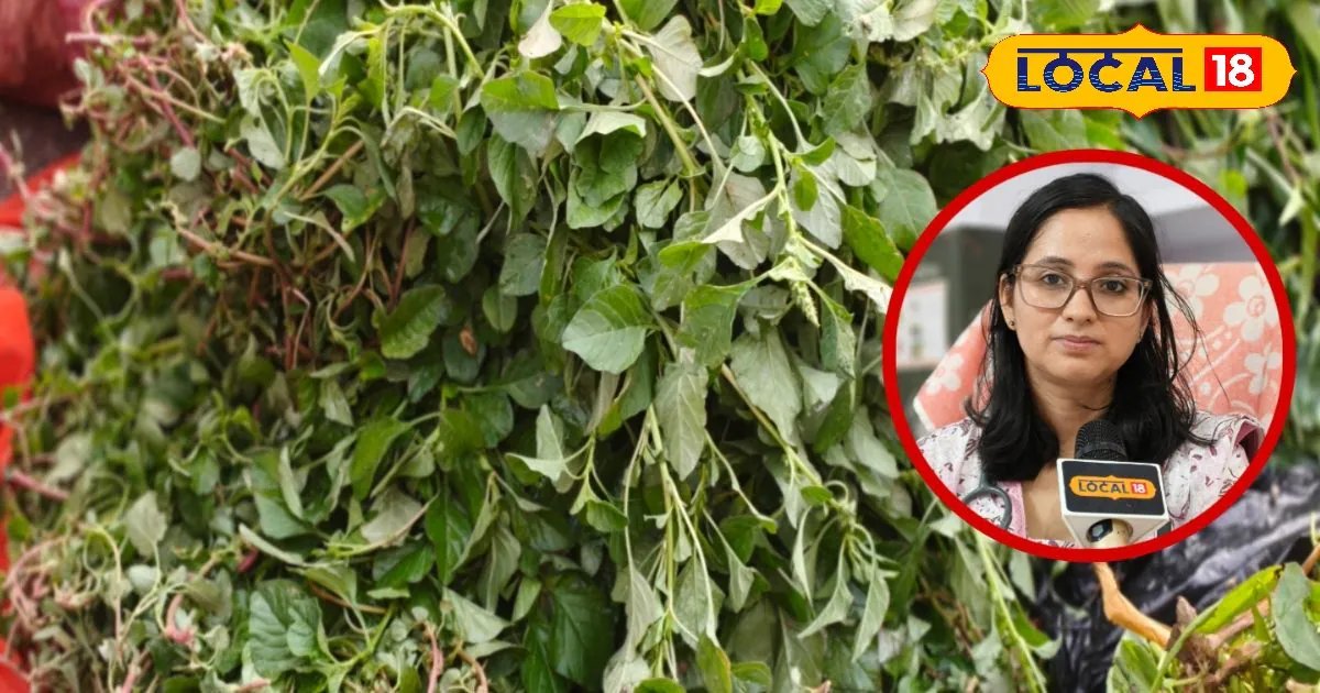 Health Tips: पोषण का पावरहाउस है ये साग, सेवन से मिलेंगे कई लाभ, पाचन से लेकर इम्यूनिटी तक सब रहेगा ठीक