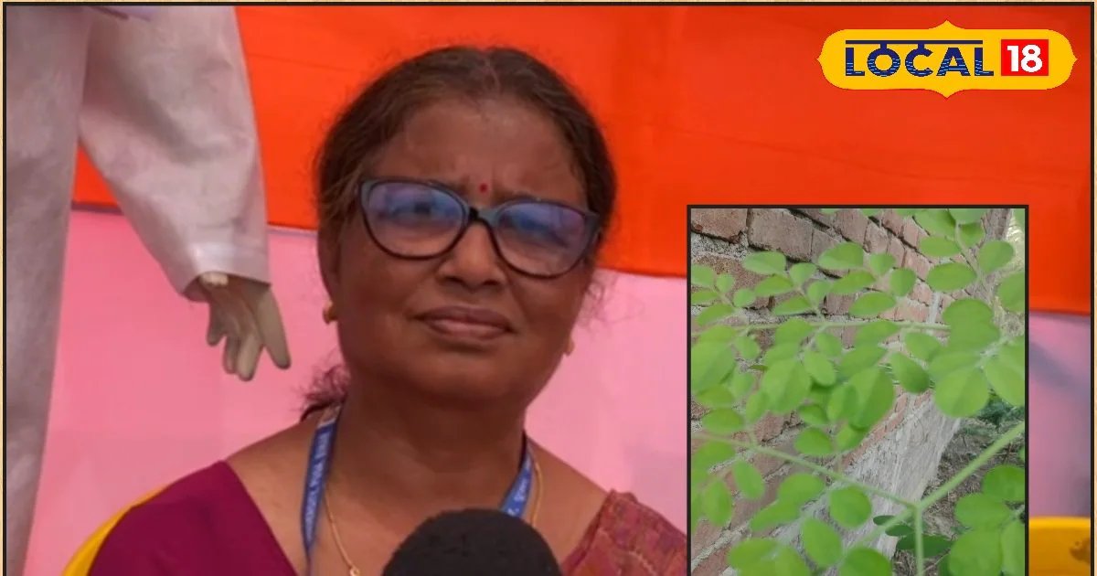 moringa leaves namkeen recipe healthy snacks immunity booster